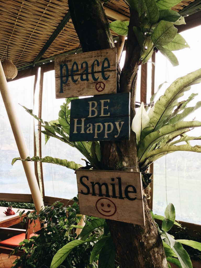 Wooden signs with motivational messages on a tree in an outdoor setting.