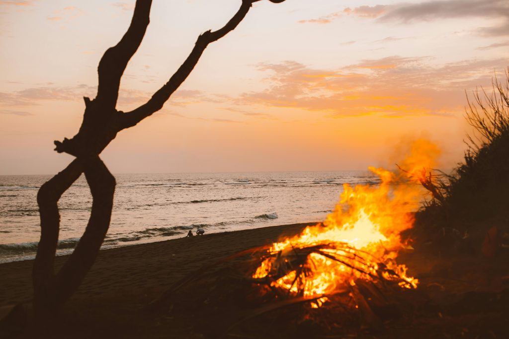 A tranquil beach scene at sunset with a lively bonfire and silhouetted tree, creating a serene ambiance.